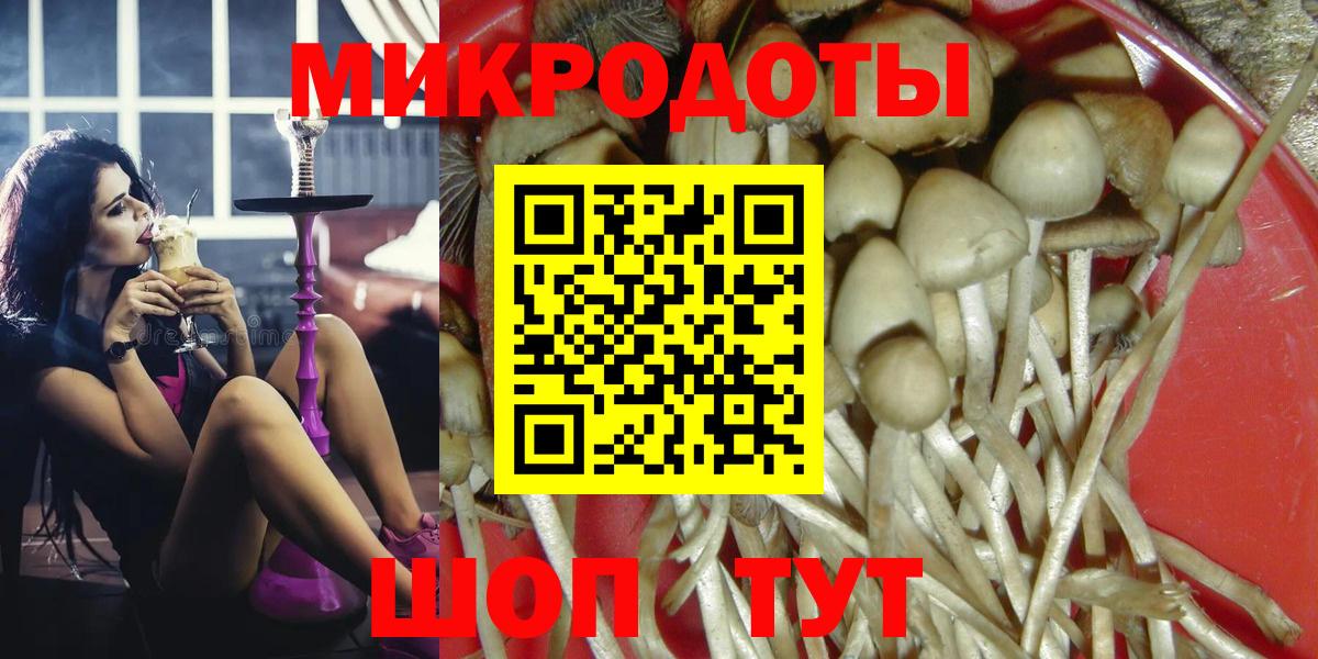 Галлюциногенные грибы GOLDEN TEACHER  Вход с VPN  что такое наркотик  Краснознаменск  Псилоцибиновые грибы Magic Shrooms 