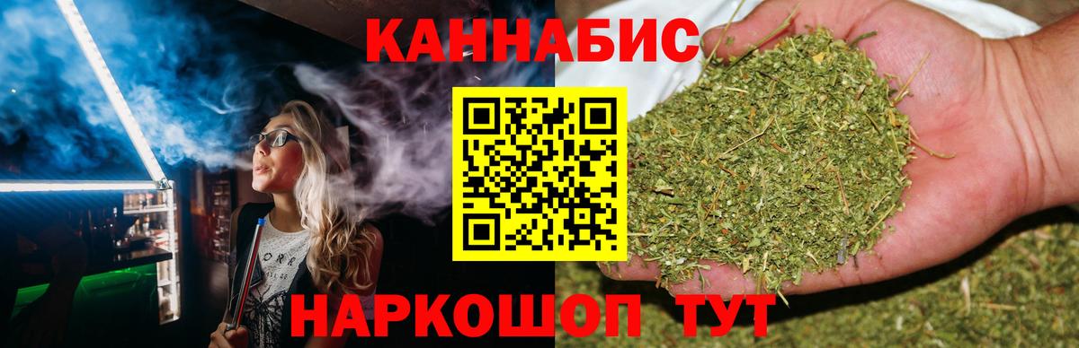 Каннабис сатива Краснознаменск